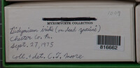 Image Associated With the Occurence